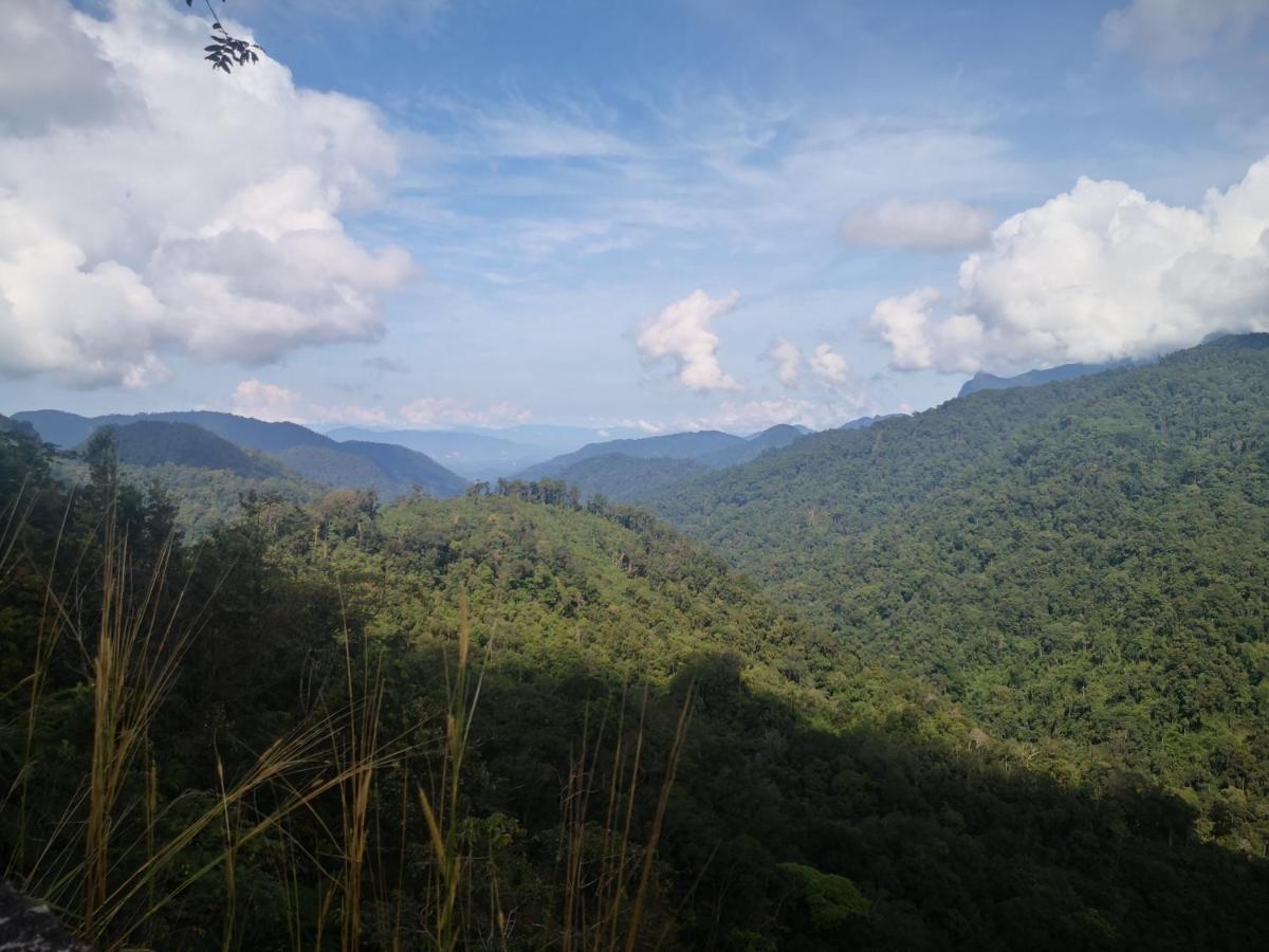 Lily Homestay Barrington Square Cameron Highlands. 伯恩仓 外观 照片